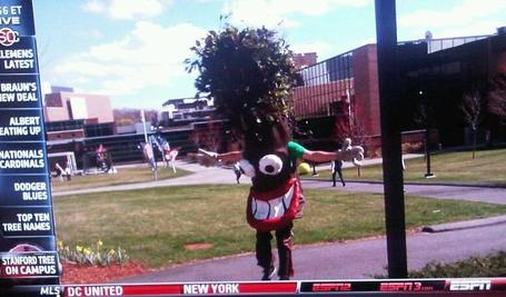 Stanfordtreesc_medium