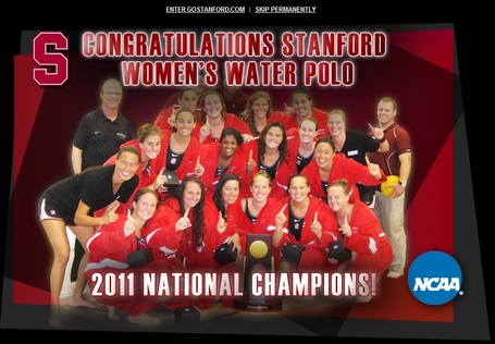 Stanfordh20polo_medium